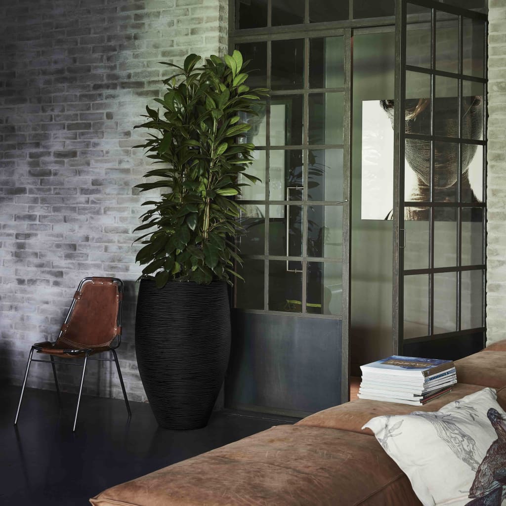 8716443060021_g_en_hd_2.jpg